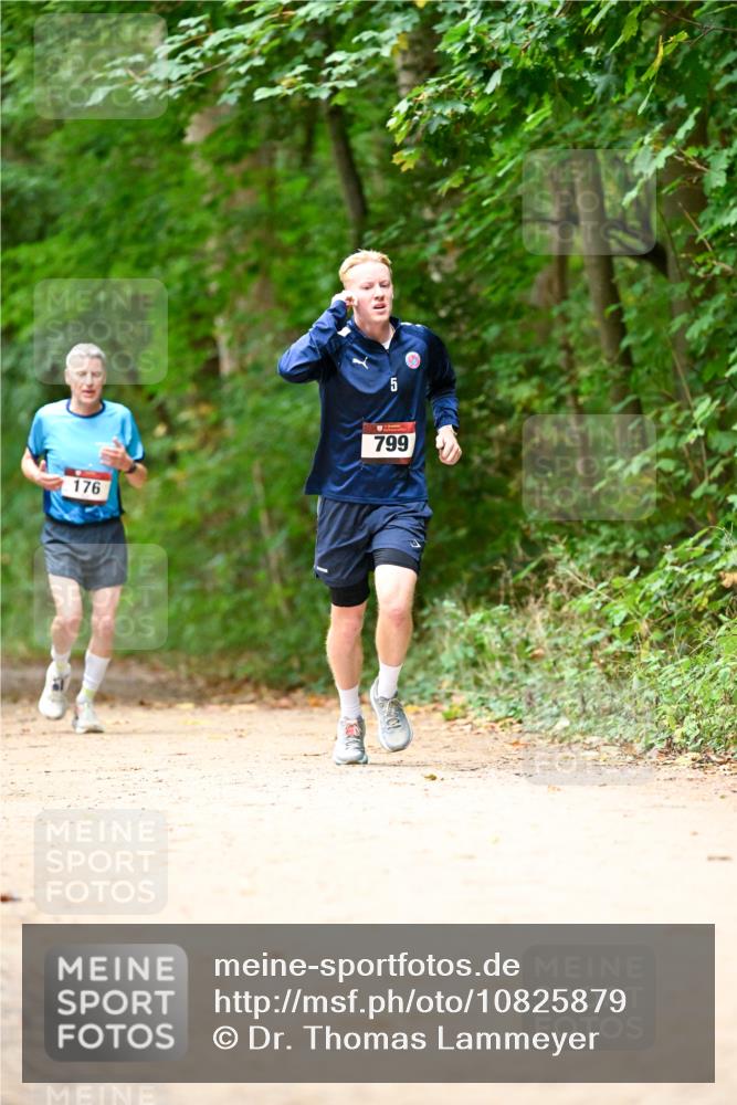 11.10.2026 - Bramfelder Halbmarathon 2026 Dr. Thomas Lammeyer http://msf.ph/oto/10825879 11.10.2026 10:52:03 Laufen 176, 5, 799 meine-sportfotos.de