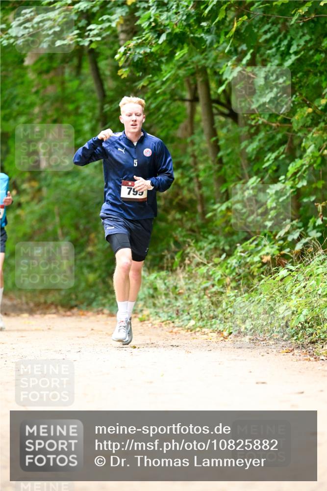 11.10.2026 - Bramfelder Halbmarathon 2026 Dr. Thomas Lammeyer http://msf.ph/oto/10825882 11.10.2026 10:52:03 Laufen 799 meine-sportfotos.de