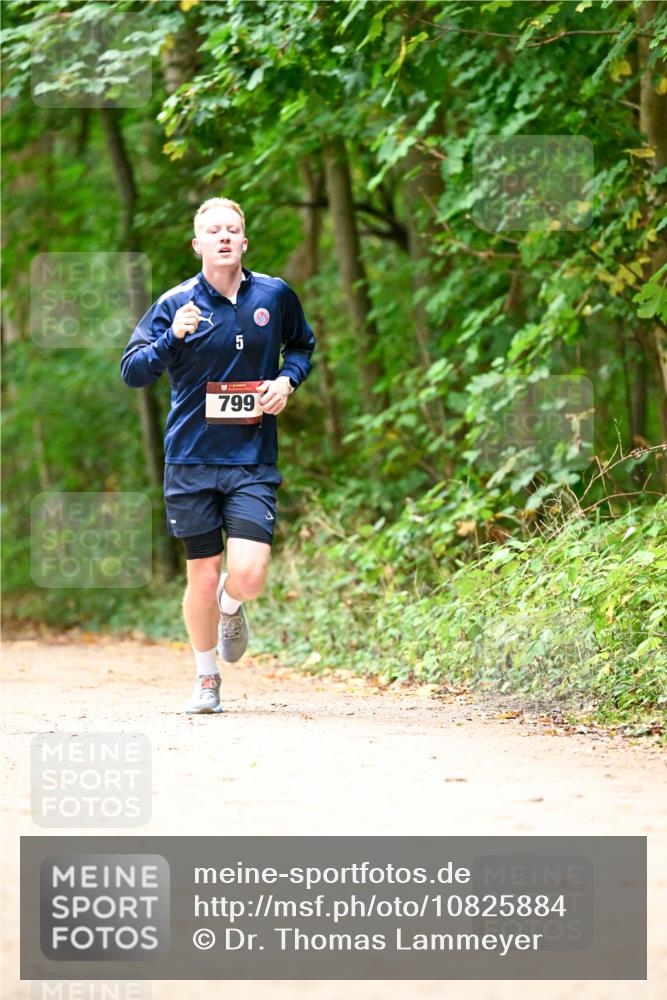 11.10.2026 - Bramfelder Halbmarathon 2026 Dr. Thomas Lammeyer http://msf.ph/oto/10825884 11.10.2026 10:52:03 Laufen 5, 799 meine-sportfotos.de