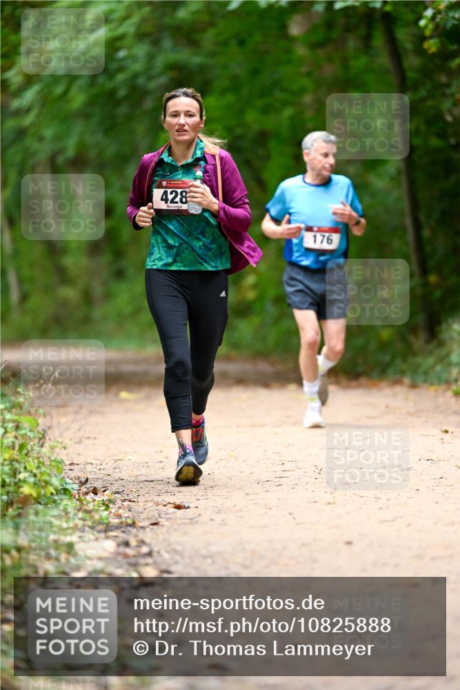 11.10.2026 - Bramfelder Halbmarathon 2026 Dr. Thomas Lammeyer http://msf.ph/oto/10825888 11.10.2026 10:52:04 Laufen 428, 176 meine-sportfotos.de