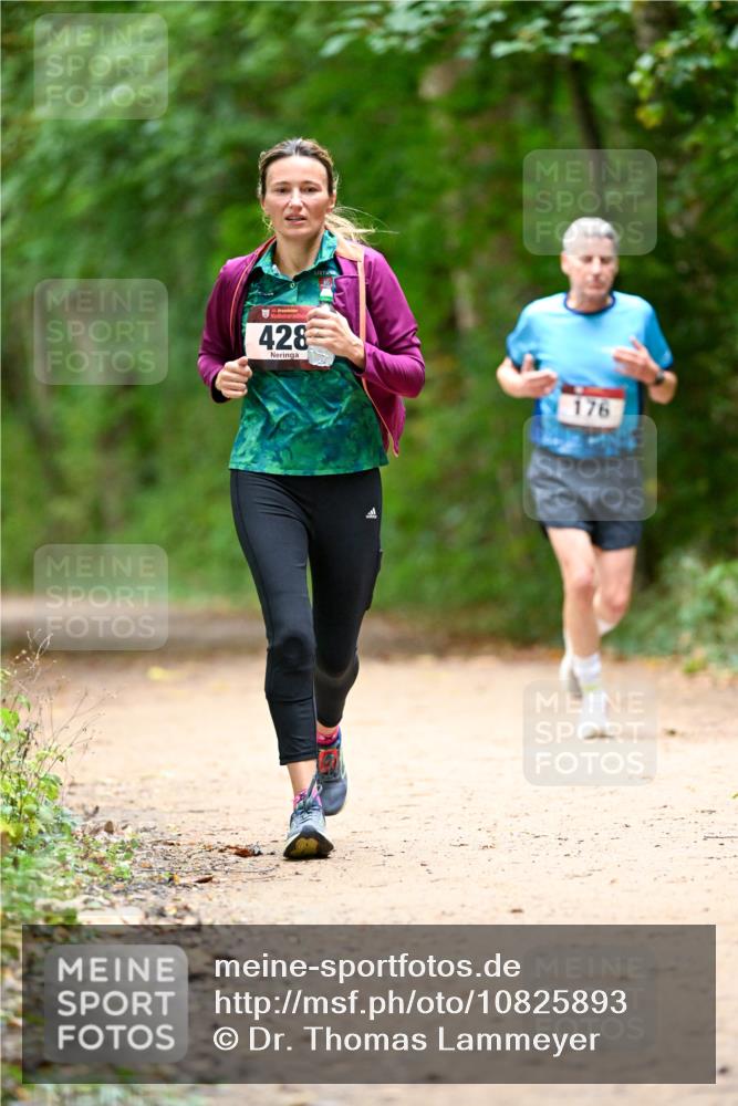 11.10.2026 - Bramfelder Halbmarathon 2026 Dr. Thomas Lammeyer http://msf.ph/oto/10825893 11.10.2026 10:52:05 Laufen 428, 176 meine-sportfotos.de