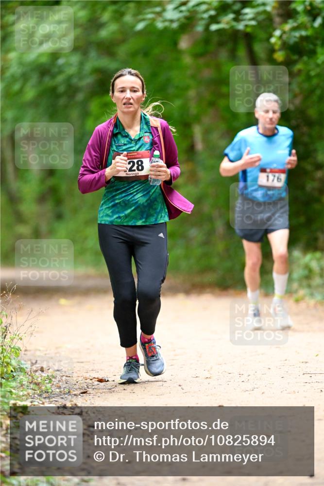 11.10.2026 - Bramfelder Halbmarathon 2026 Dr. Thomas Lammeyer http://msf.ph/oto/10825894 11.10.2026 10:52:05 Laufen 28, 176 meine-sportfotos.de