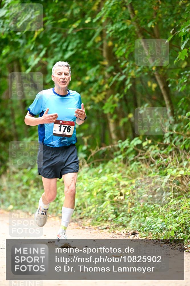 11.10.2026 - Bramfelder Halbmarathon 2026 Dr. Thomas Lammeyer http://msf.ph/oto/10825902 11.10.2026 10:52:07 Laufen 176 meine-sportfotos.de