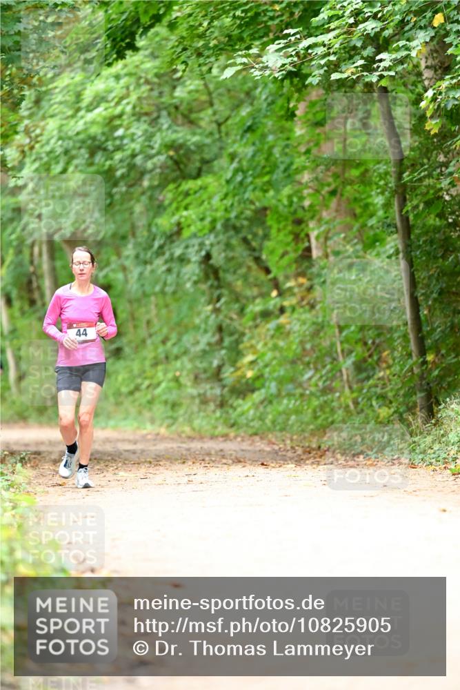 11.10.2026 - Bramfelder Halbmarathon 2026 Dr. Thomas Lammeyer http://msf.ph/oto/10825905 11.10.2026 10:52:12 Laufen 44 meine-sportfotos.de