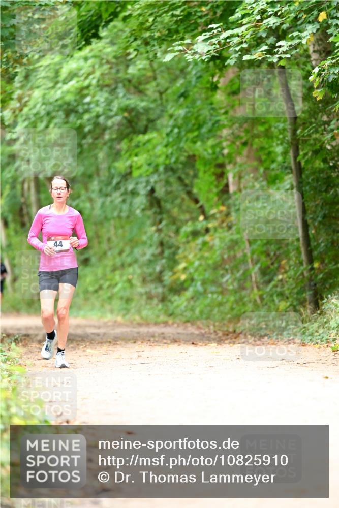 11.10.2026 - Bramfelder Halbmarathon 2026 Dr. Thomas Lammeyer http://msf.ph/oto/10825910 11.10.2026 10:52:13 Laufen 44 meine-sportfotos.de