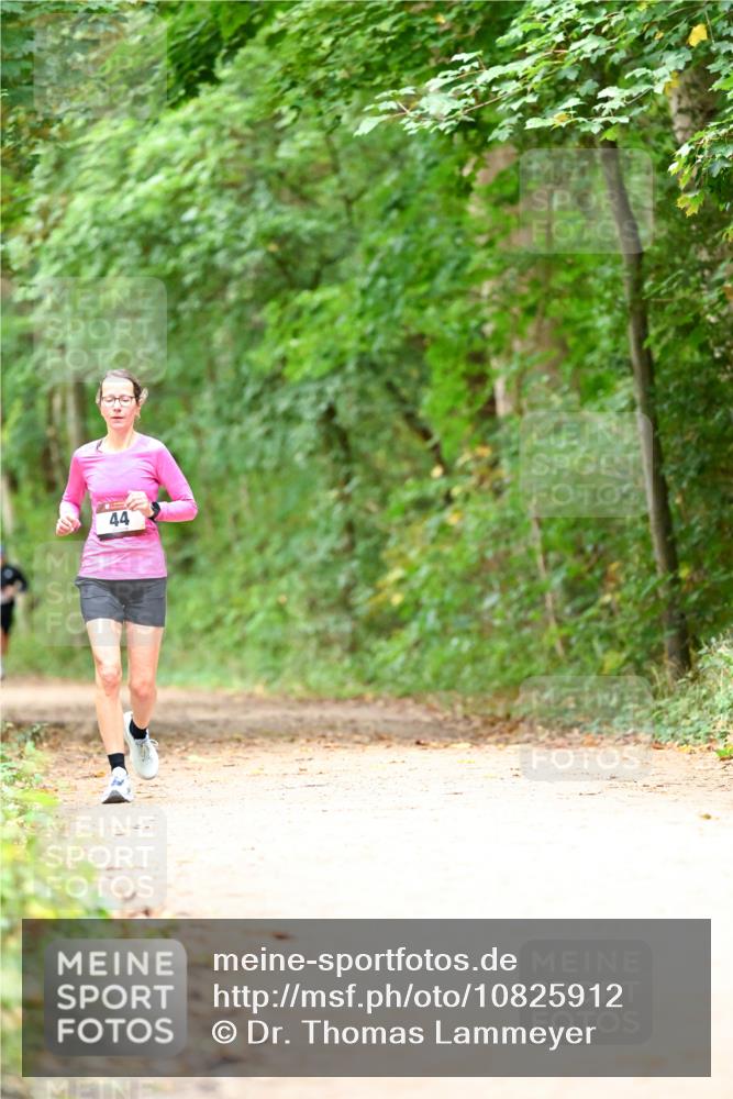 11.10.2026 - Bramfelder Halbmarathon 2026 Dr. Thomas Lammeyer http://msf.ph/oto/10825912 11.10.2026 10:52:13 Laufen 44 meine-sportfotos.de