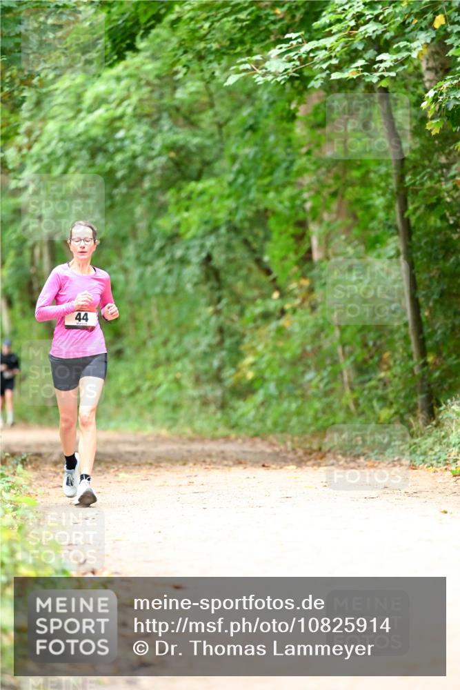 11.10.2026 - Bramfelder Halbmarathon 2026 Dr. Thomas Lammeyer http://msf.ph/oto/10825914 11.10.2026 10:52:14 Laufen 44 meine-sportfotos.de