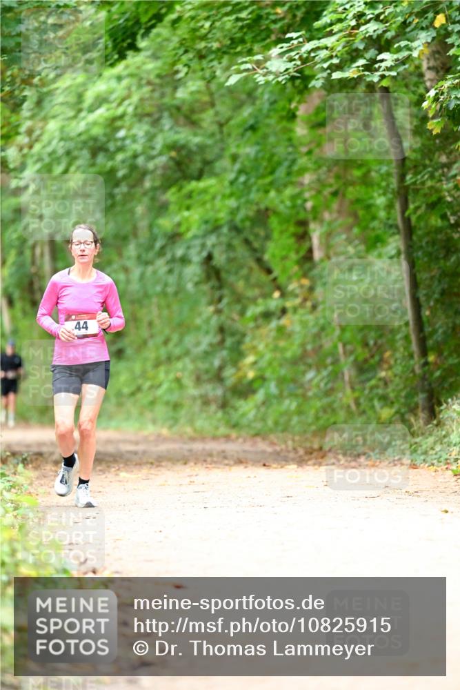 11.10.2026 - Bramfelder Halbmarathon 2026 Dr. Thomas Lammeyer http://msf.ph/oto/10825915 11.10.2026 10:52:14 Laufen 44 meine-sportfotos.de
