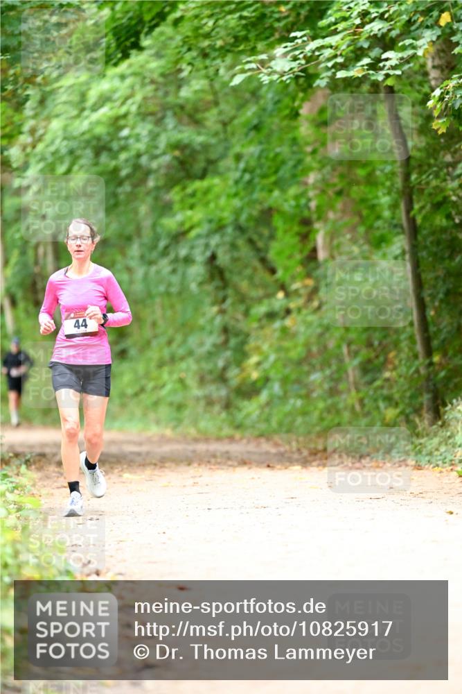 11.10.2026 - Bramfelder Halbmarathon 2026 Dr. Thomas Lammeyer http://msf.ph/oto/10825917 11.10.2026 10:52:14 Laufen 44 meine-sportfotos.de