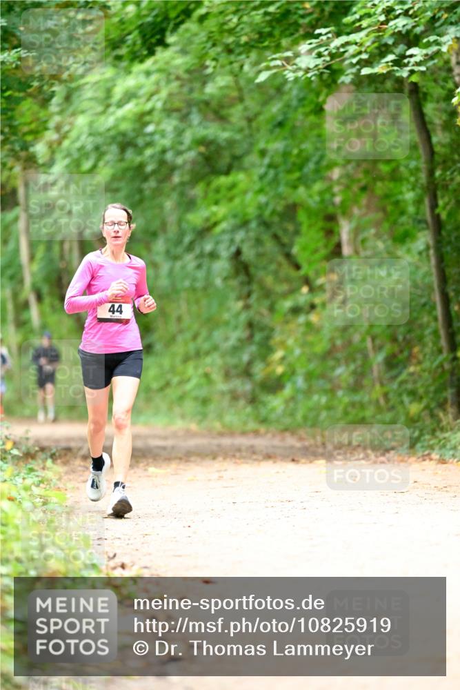 11.10.2026 - Bramfelder Halbmarathon 2026 Dr. Thomas Lammeyer http://msf.ph/oto/10825919 11.10.2026 10:52:14 Laufen 44 meine-sportfotos.de