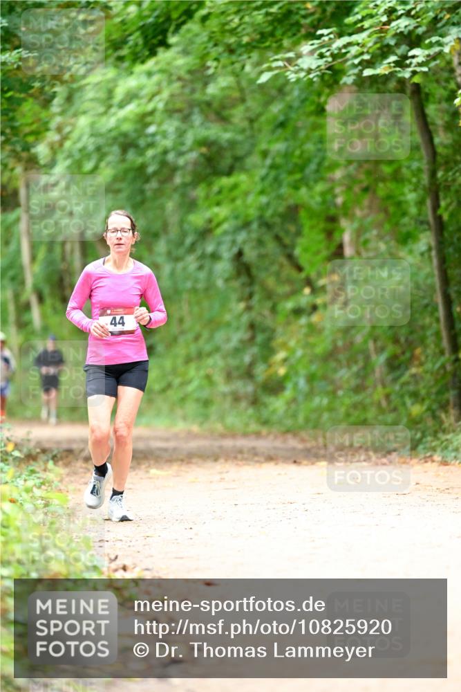 11.10.2026 - Bramfelder Halbmarathon 2026 Dr. Thomas Lammeyer http://msf.ph/oto/10825920 11.10.2026 10:52:14 Laufen 44 meine-sportfotos.de