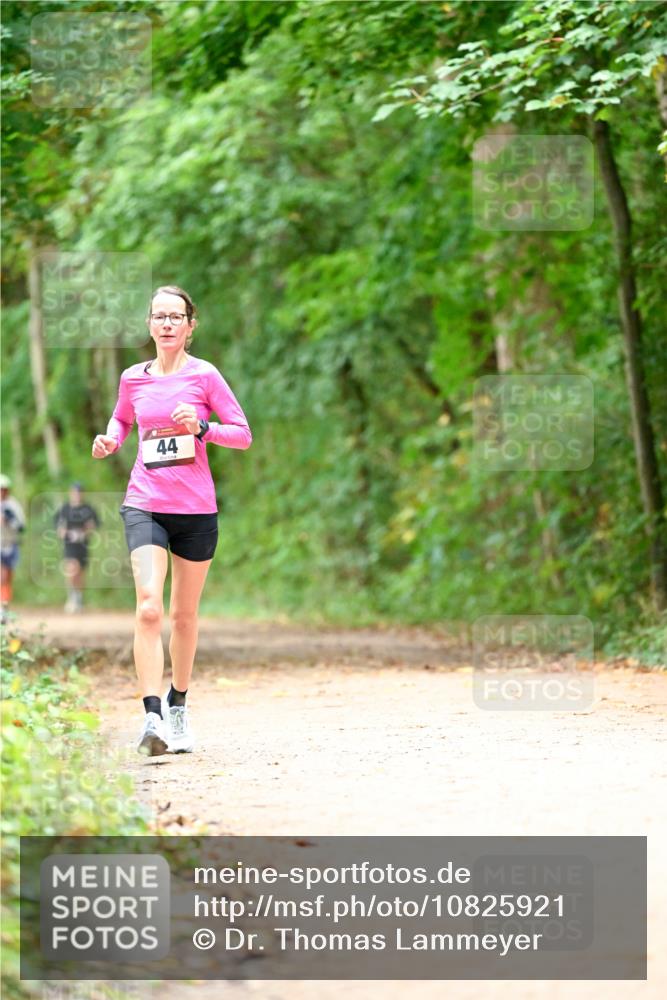 11.10.2026 - Bramfelder Halbmarathon 2026 Dr. Thomas Lammeyer http://msf.ph/oto/10825921 11.10.2026 10:52:14 Laufen 44 meine-sportfotos.de