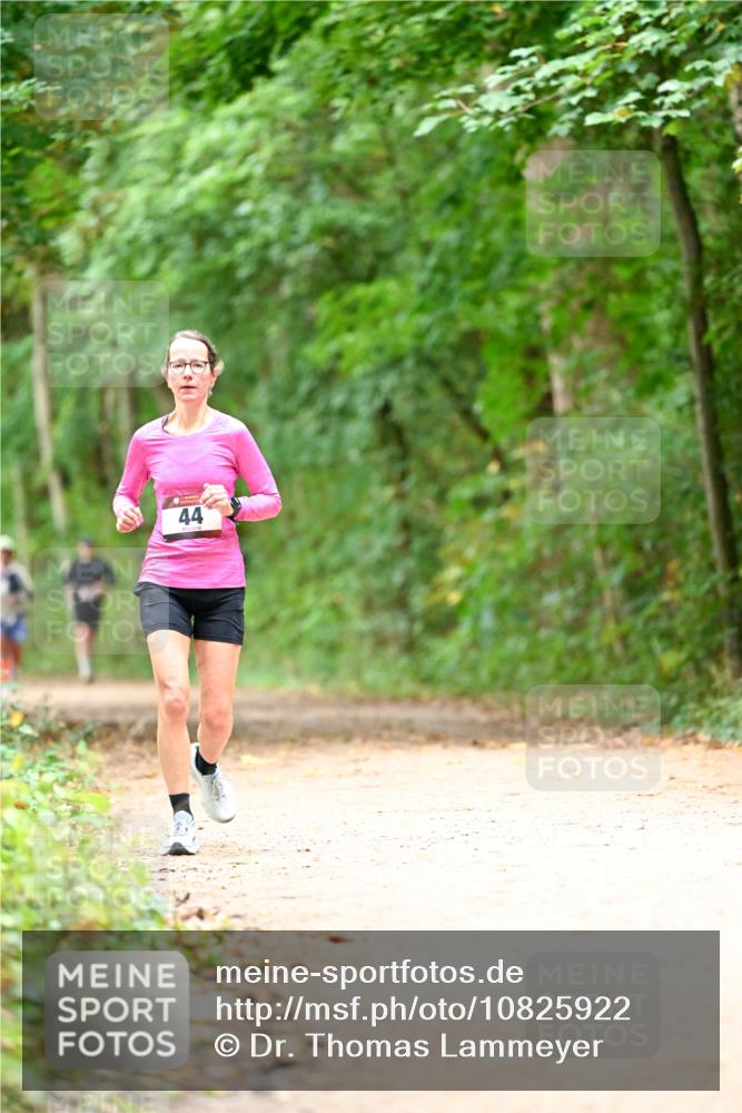11.10.2026 - Bramfelder Halbmarathon 2026 Dr. Thomas Lammeyer http://msf.ph/oto/10825922 11.10.2026 10:52:15 Laufen 44 meine-sportfotos.de