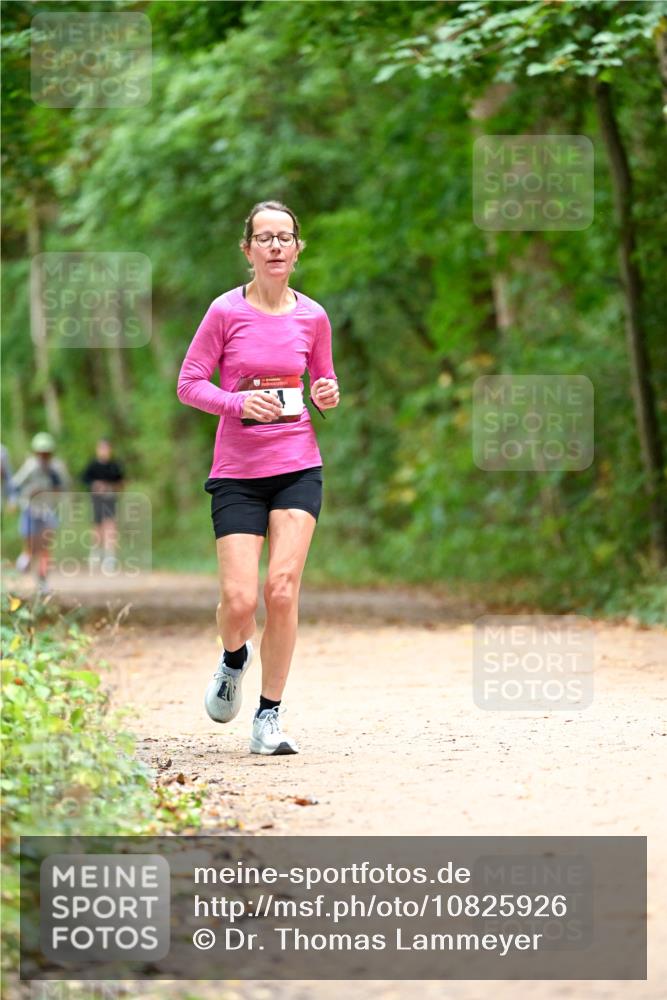 11.10.2026 - Bramfelder Halbmarathon 2026 Dr. Thomas Lammeyer http://msf.ph/oto/10825926 11.10.2026 10:52:16 Laufen  meine-sportfotos.de