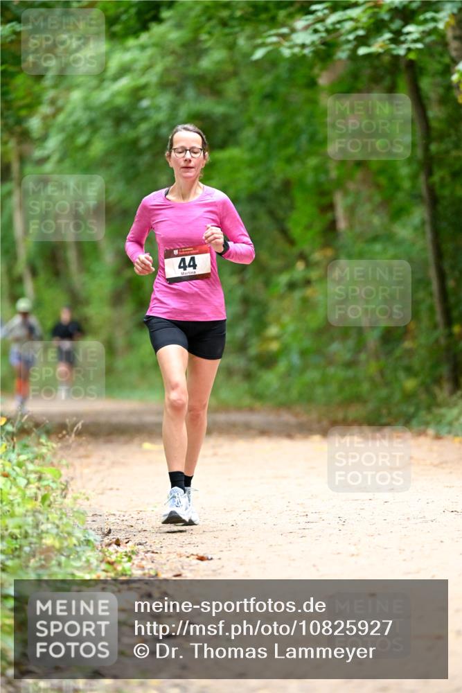 11.10.2026 - Bramfelder Halbmarathon 2026 Dr. Thomas Lammeyer http://msf.ph/oto/10825927 11.10.2026 10:52:16 Laufen 44 meine-sportfotos.de