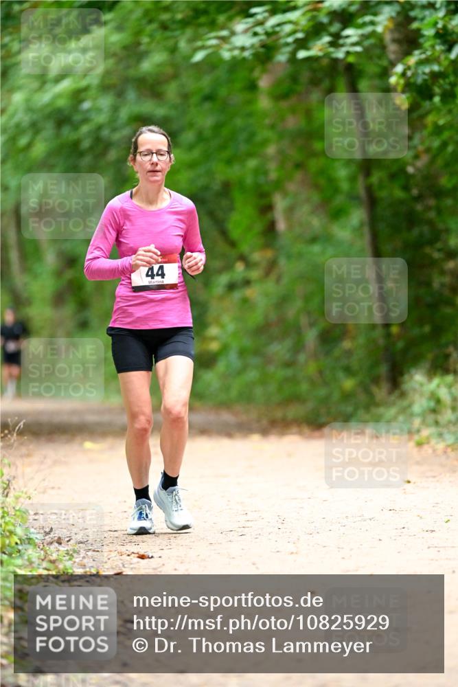 11.10.2026 - Bramfelder Halbmarathon 2026 Dr. Thomas Lammeyer http://msf.ph/oto/10825929 11.10.2026 10:52:16 Laufen 44 meine-sportfotos.de