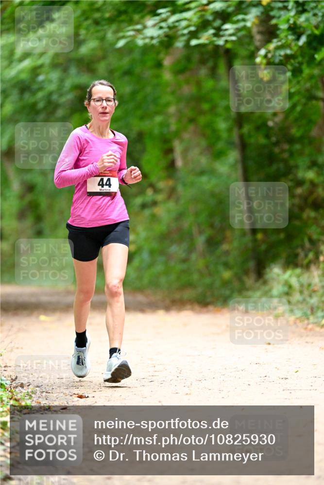11.10.2026 - Bramfelder Halbmarathon 2026 Dr. Thomas Lammeyer http://msf.ph/oto/10825930 11.10.2026 10:52:16 Laufen 44 meine-sportfotos.de