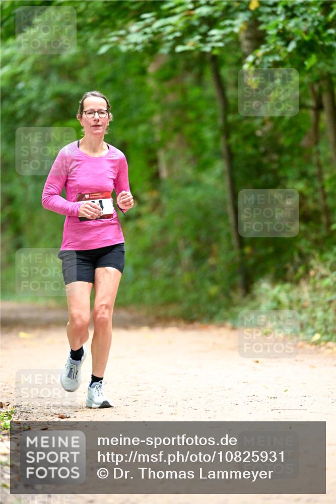 11.10.2026 - Bramfelder Halbmarathon 2026 Dr. Thomas Lammeyer http://msf.ph/oto/10825931 11.10.2026 10:52:16 Laufen  meine-sportfotos.de