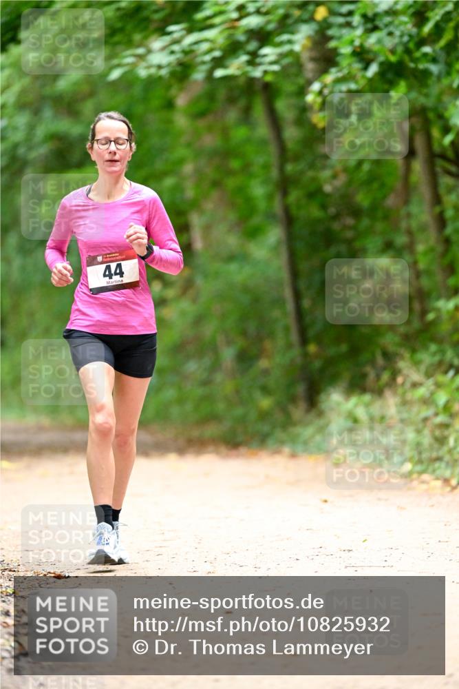 11.10.2026 - Bramfelder Halbmarathon 2026 Dr. Thomas Lammeyer http://msf.ph/oto/10825932 11.10.2026 10:52:16 Laufen 25, 44 meine-sportfotos.de