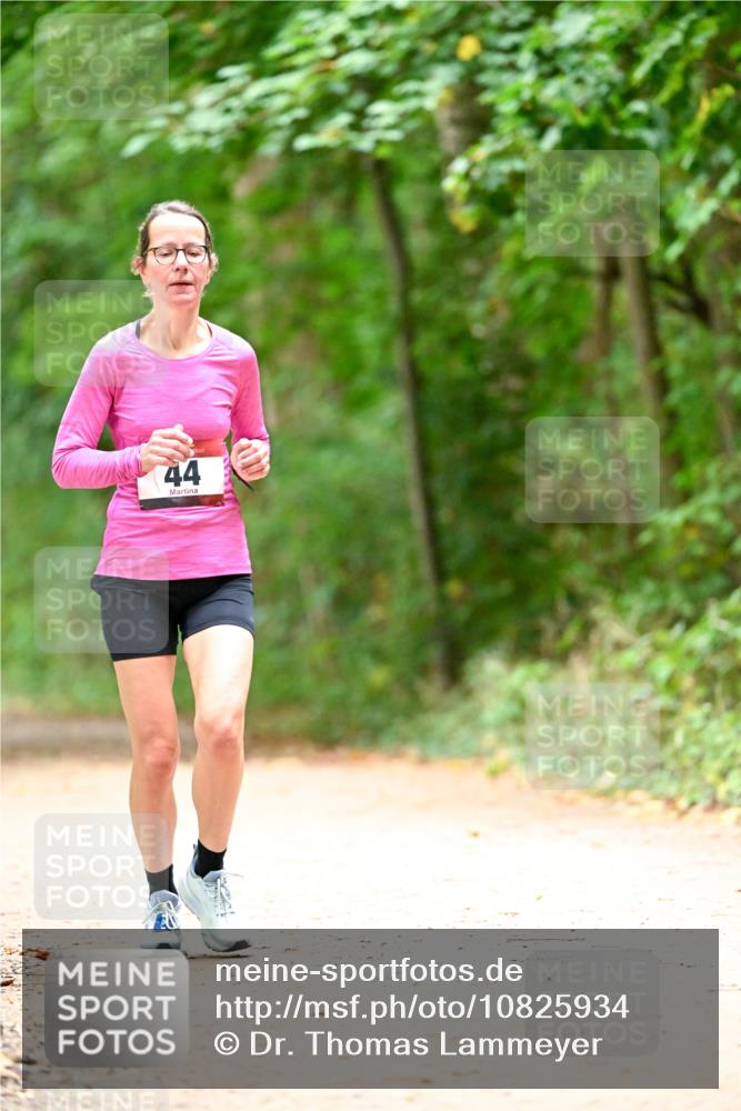 11.10.2026 - Bramfelder Halbmarathon 2026 Dr. Thomas Lammeyer http://msf.ph/oto/10825934 11.10.2026 10:52:17 Laufen 44 meine-sportfotos.de
