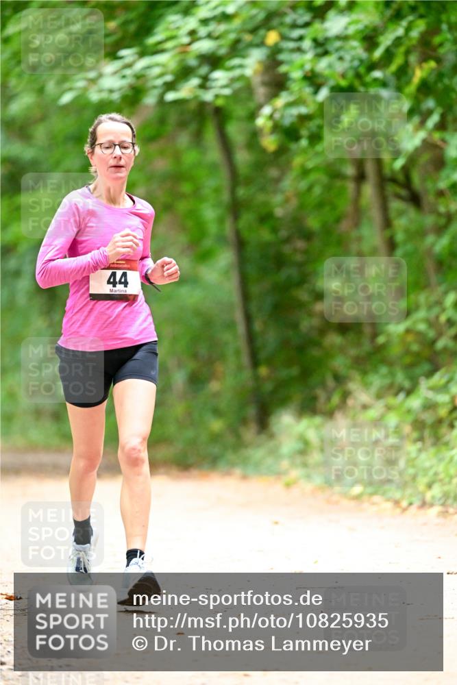 11.10.2026 - Bramfelder Halbmarathon 2026 Dr. Thomas Lammeyer http://msf.ph/oto/10825935 11.10.2026 10:52:17 Laufen 44 meine-sportfotos.de