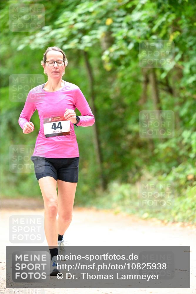 11.10.2026 - Bramfelder Halbmarathon 2026 Dr. Thomas Lammeyer http://msf.ph/oto/10825938 11.10.2026 10:52:17 Laufen 44 meine-sportfotos.de
