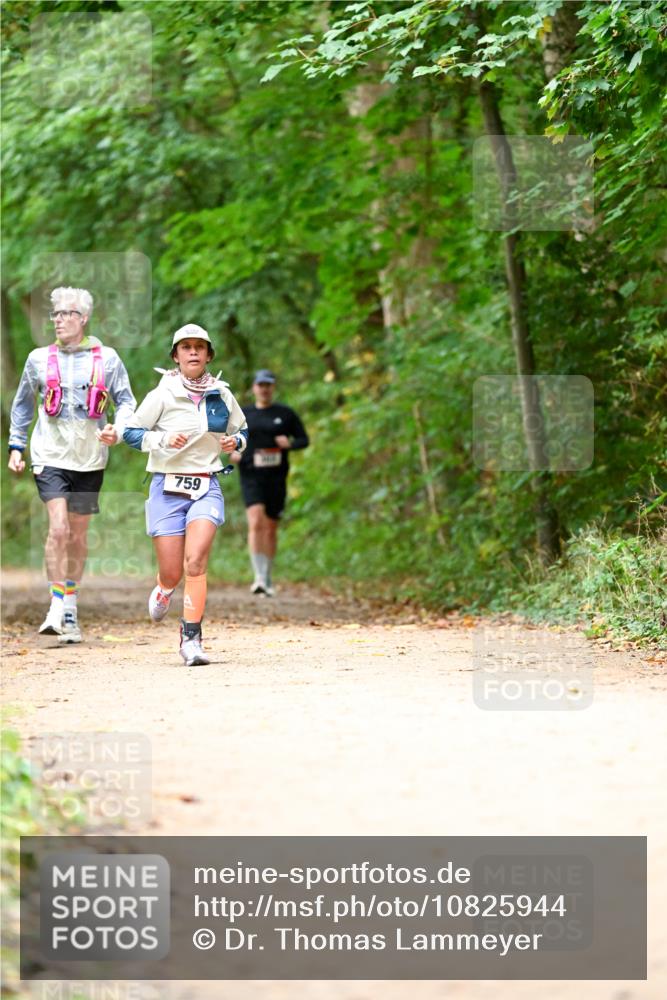 11.10.2026 - Bramfelder Halbmarathon 2026 Dr. Thomas Lammeyer http://msf.ph/oto/10825944 11.10.2026 10:52:26 Laufen 759 meine-sportfotos.de