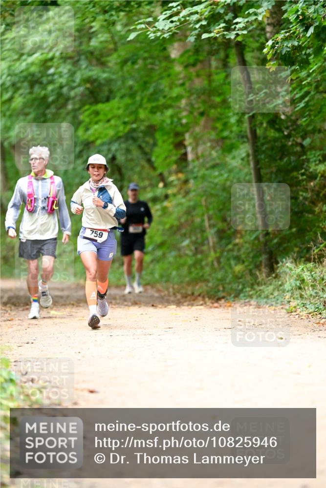 11.10.2026 - Bramfelder Halbmarathon 2026 Dr. Thomas Lammeyer http://msf.ph/oto/10825946 11.10.2026 10:52:26 Laufen 759 meine-sportfotos.de