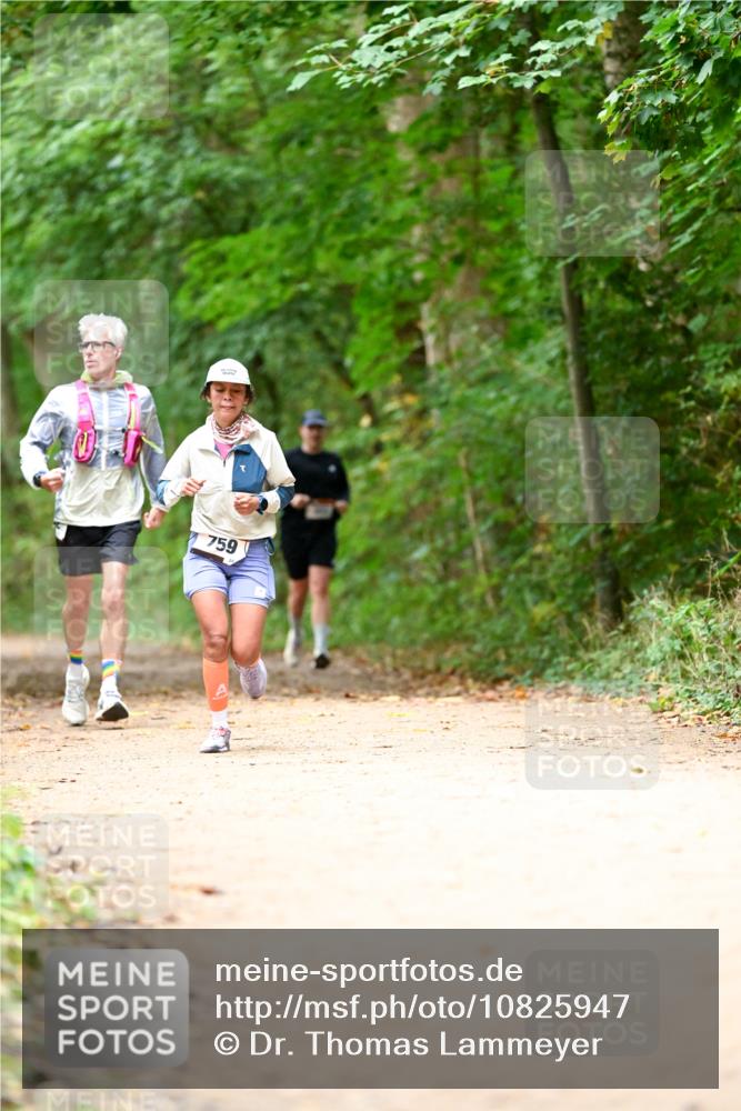 11.10.2026 - Bramfelder Halbmarathon 2026 Dr. Thomas Lammeyer http://msf.ph/oto/10825947 11.10.2026 10:52:26 Laufen 759 meine-sportfotos.de