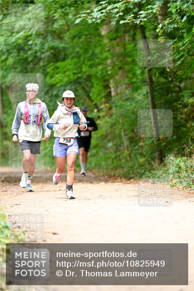 11.10.2026 - Bramfelder Halbmarathon 2026 Dr. Thomas Lammeyer http://msf.ph/oto/10825949 11.10.2026 10:52:27 Laufen 759 meine-sportfotos.de