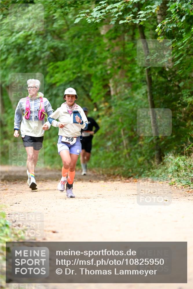 11.10.2026 - Bramfelder Halbmarathon 2026 Dr. Thomas Lammeyer http://msf.ph/oto/10825950 11.10.2026 10:52:27 Laufen 759 meine-sportfotos.de