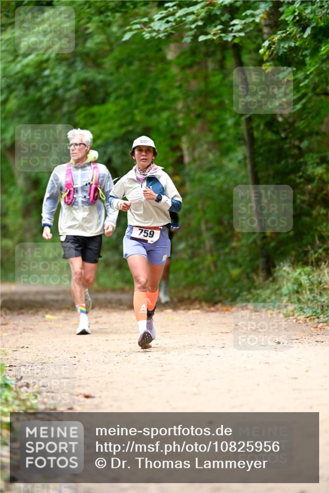11.10.2026 - Bramfelder Halbmarathon 2026 Dr. Thomas Lammeyer http://msf.ph/oto/10825956 11.10.2026 10:52:27 Laufen 759, 24 meine-sportfotos.de