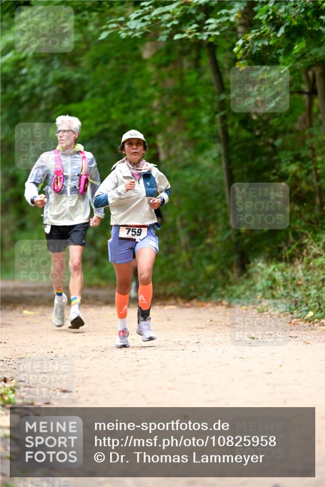 11.10.2026 - Bramfelder Halbmarathon 2026 Dr. Thomas Lammeyer http://msf.ph/oto/10825958 11.10.2026 10:52:28 Laufen 759 meine-sportfotos.de