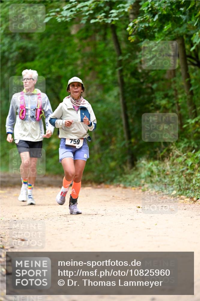 11.10.2026 - Bramfelder Halbmarathon 2026 Dr. Thomas Lammeyer http://msf.ph/oto/10825960 11.10.2026 10:52:28 Laufen 759, 244 meine-sportfotos.de