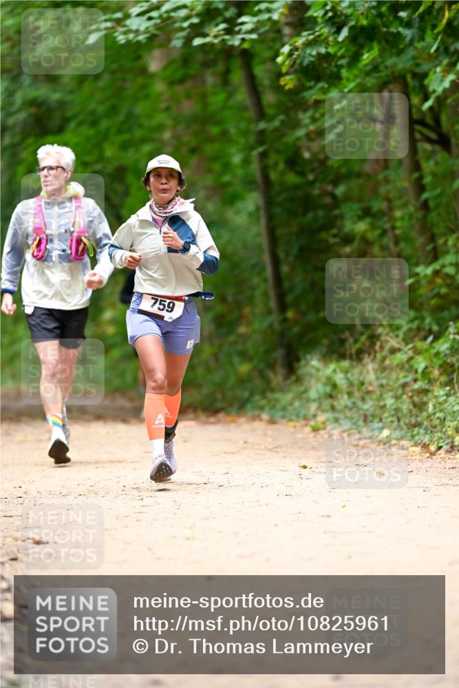 11.10.2026 - Bramfelder Halbmarathon 2026 Dr. Thomas Lammeyer http://msf.ph/oto/10825961 11.10.2026 10:52:28 Laufen 759 meine-sportfotos.de