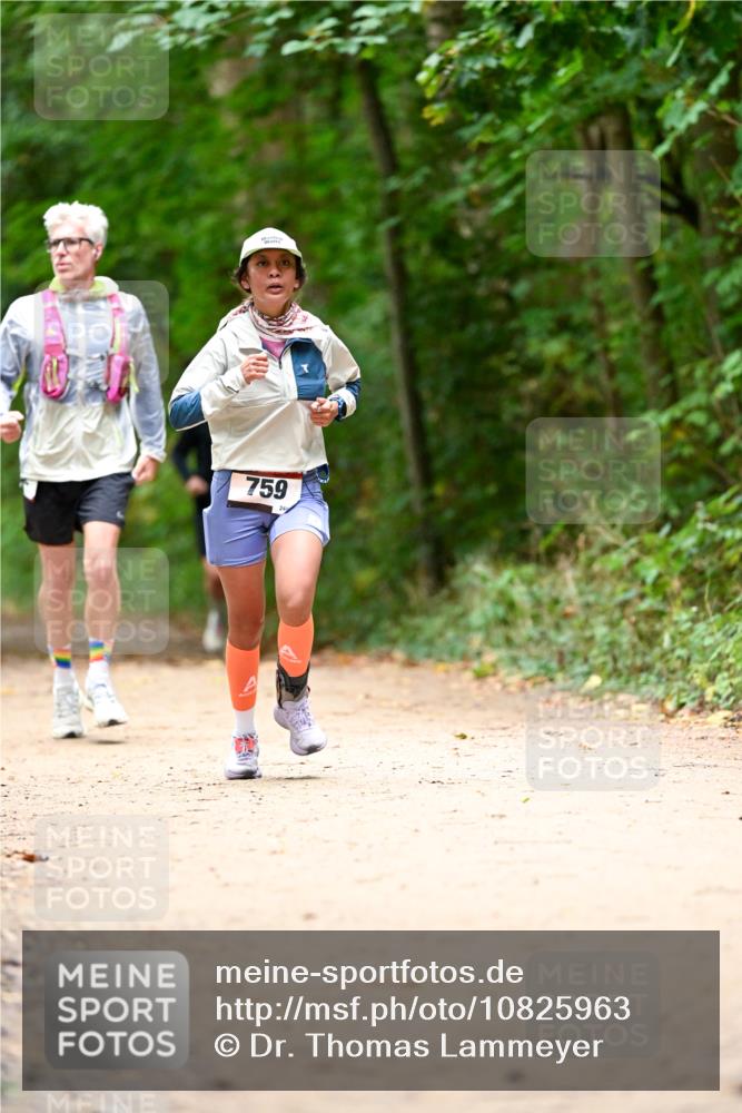 11.10.2026 - Bramfelder Halbmarathon 2026 Dr. Thomas Lammeyer http://msf.ph/oto/10825963 11.10.2026 10:52:28 Laufen 759 meine-sportfotos.de