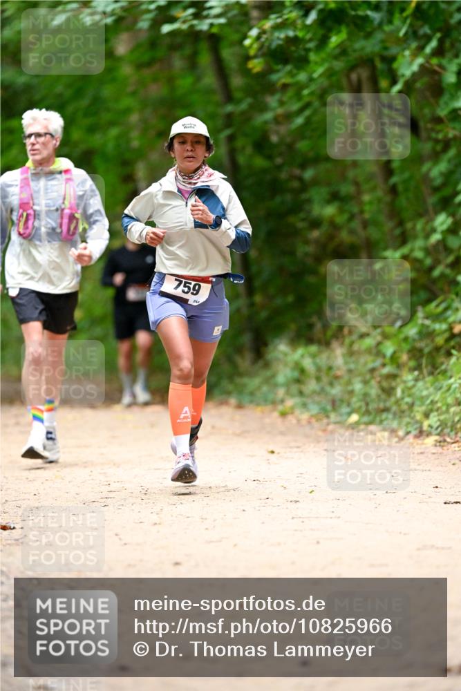 11.10.2026 - Bramfelder Halbmarathon 2026 Dr. Thomas Lammeyer http://msf.ph/oto/10825966 11.10.2026 10:52:29 Laufen 759, 240 meine-sportfotos.de
