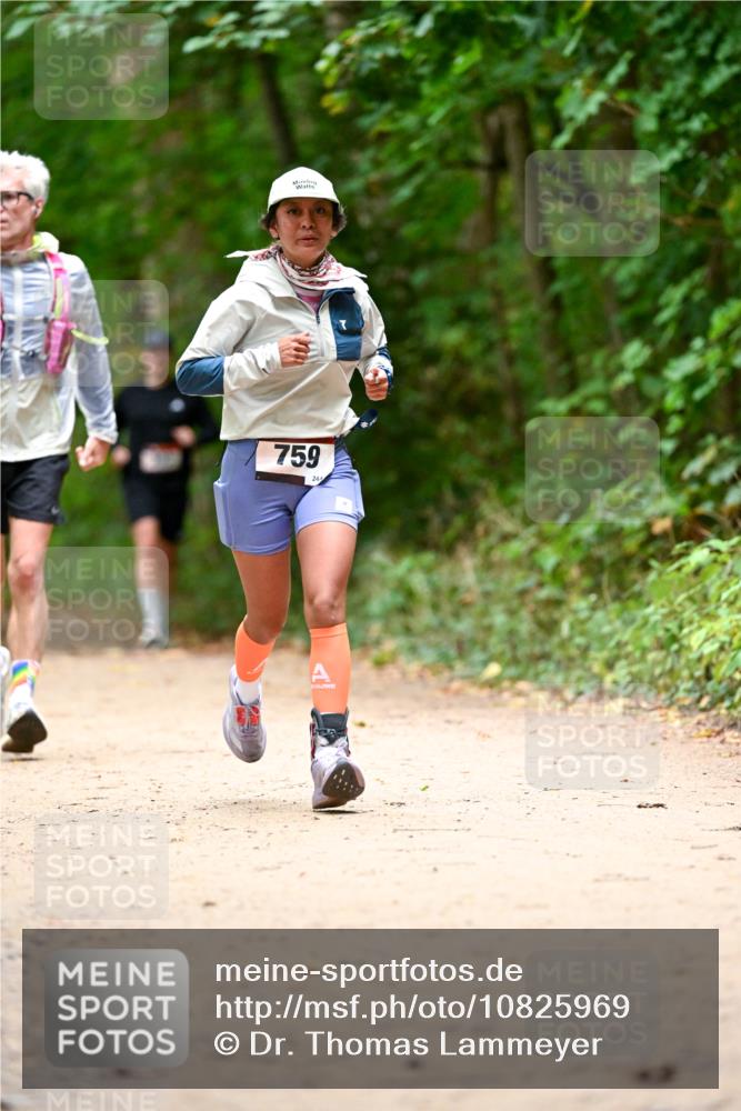 11.10.2026 - Bramfelder Halbmarathon 2026 Dr. Thomas Lammeyer http://msf.ph/oto/10825969 11.10.2026 10:52:29 Laufen 759, 244 meine-sportfotos.de