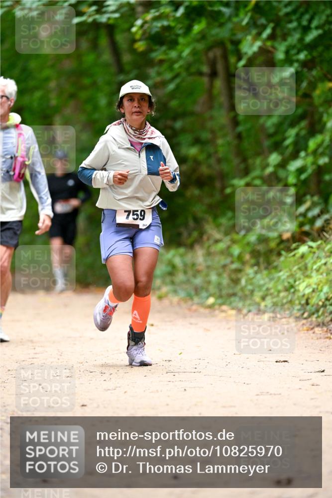 11.10.2026 - Bramfelder Halbmarathon 2026 Dr. Thomas Lammeyer http://msf.ph/oto/10825970 11.10.2026 10:52:29 Laufen 759, 244 meine-sportfotos.de