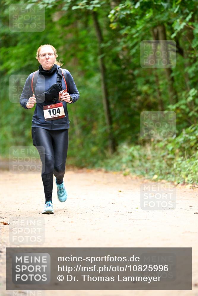 11.10.2026 - Bramfelder Halbmarathon 2026 Dr. Thomas Lammeyer http://msf.ph/oto/10825996 11.10.2026 10:52:39 Laufen 104 meine-sportfotos.de