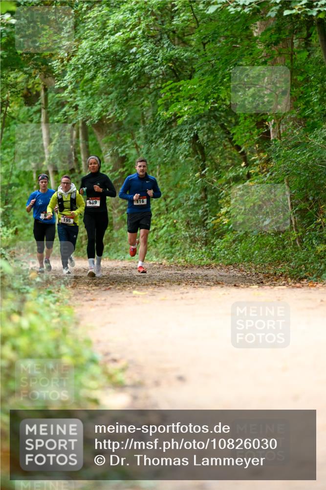 11.10.2026 - Bramfelder Halbmarathon 2026 Dr. Thomas Lammeyer http://msf.ph/oto/10826030 11.10.2026 10:53:17 Laufen 195, 539, 116 meine-sportfotos.de