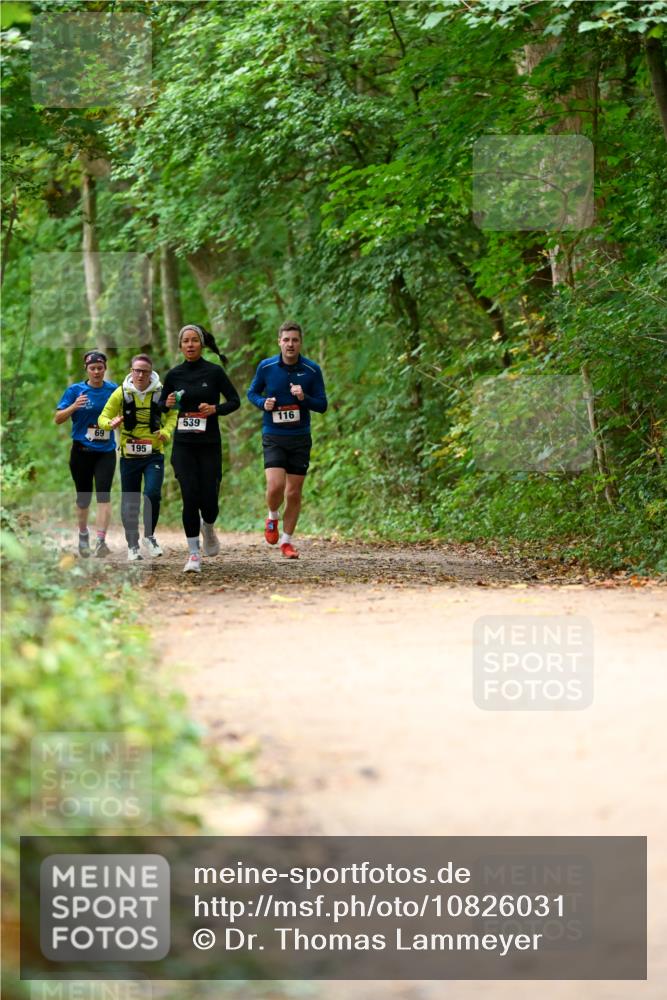 11.10.2026 - Bramfelder Halbmarathon 2026 Dr. Thomas Lammeyer http://msf.ph/oto/10826031 11.10.2026 10:53:17 Laufen 69, 195, 539, 116 meine-sportfotos.de