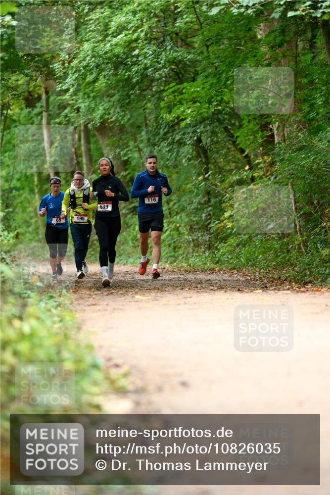 11.10.2026 - Bramfelder Halbmarathon 2026 Dr. Thomas Lammeyer http://msf.ph/oto/10826035 11.10.2026 10:53:18 Laufen 69, 195, 539, 116 meine-sportfotos.de