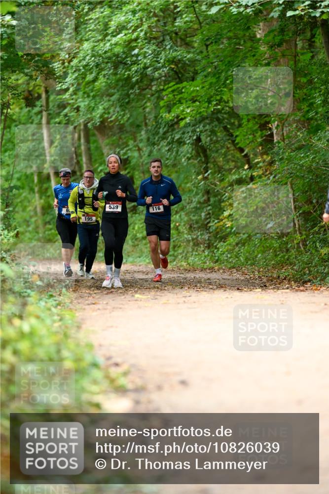 11.10.2026 - Bramfelder Halbmarathon 2026 Dr. Thomas Lammeyer http://msf.ph/oto/10826039 11.10.2026 10:53:18 Laufen 539, 116, 60, 195 meine-sportfotos.de