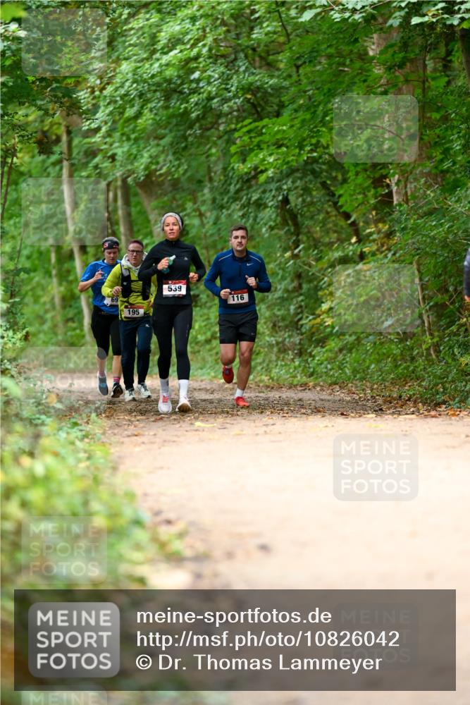 11.10.2026 - Bramfelder Halbmarathon 2026 Dr. Thomas Lammeyer http://msf.ph/oto/10826042 11.10.2026 10:53:19 Laufen 69, 195, 539, 116 meine-sportfotos.de