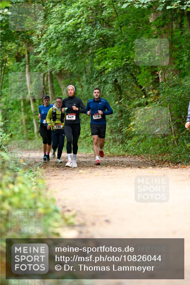 11.10.2026 - Bramfelder Halbmarathon 2026 Dr. Thomas Lammeyer http://msf.ph/oto/10826044 11.10.2026 10:53:19 Laufen 195, 539, 116 meine-sportfotos.de