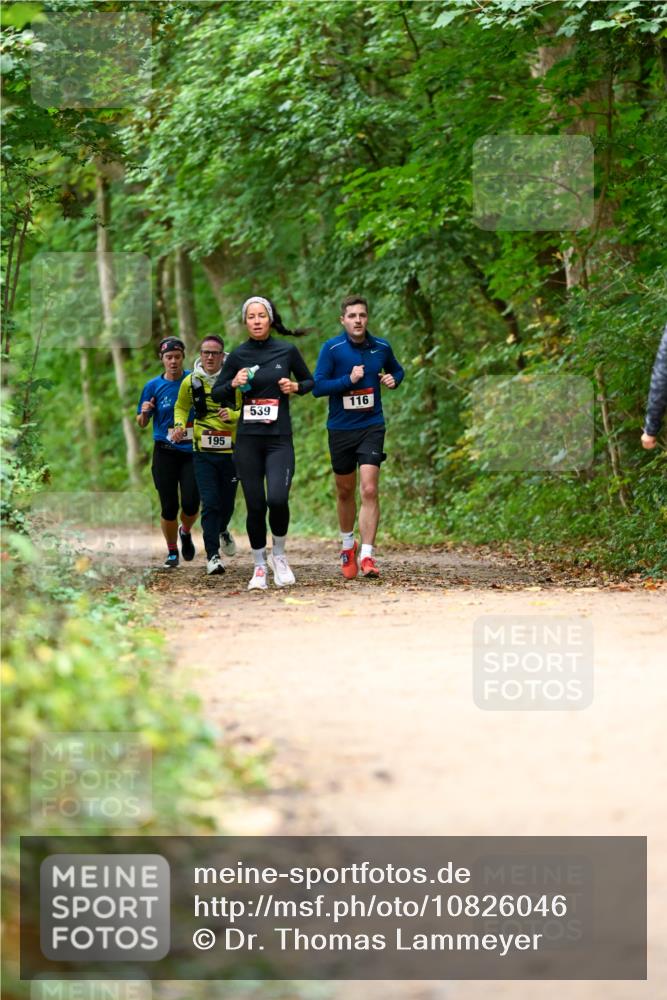 11.10.2026 - Bramfelder Halbmarathon 2026 Dr. Thomas Lammeyer http://msf.ph/oto/10826046 11.10.2026 10:53:19 Laufen 195, 539, 116 meine-sportfotos.de