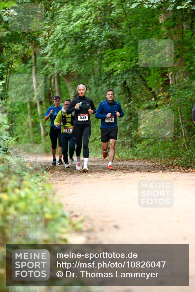 11.10.2026 - Bramfelder Halbmarathon 2026 Dr. Thomas Lammeyer http://msf.ph/oto/10826047 11.10.2026 10:53:19 Laufen 195, 539, 116 meine-sportfotos.de