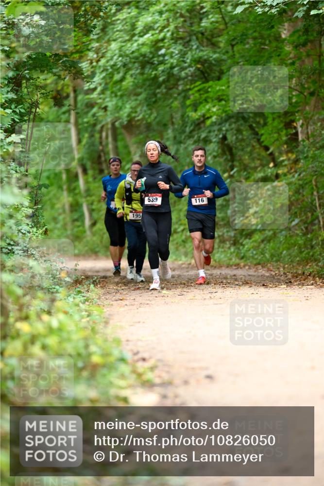 11.10.2026 - Bramfelder Halbmarathon 2026 Dr. Thomas Lammeyer http://msf.ph/oto/10826050 11.10.2026 10:53:20 Laufen 195, 539, 116 meine-sportfotos.de