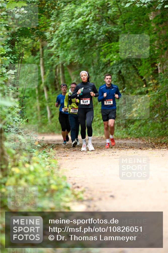 11.10.2026 - Bramfelder Halbmarathon 2026 Dr. Thomas Lammeyer http://msf.ph/oto/10826051 11.10.2026 10:53:20 Laufen 195, 539, 116 meine-sportfotos.de